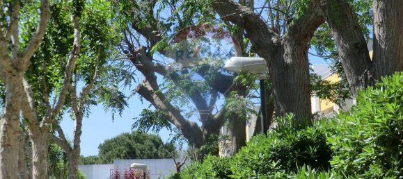 2 chambres Appartement à Ugento, Italy No. 288313 3