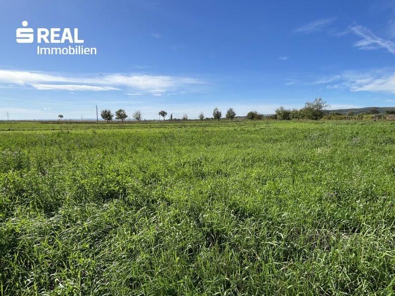 1201m² Land in Winden am See, Austria No. 122870