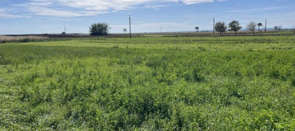 1201m² Land in Winden am See, Austria No. 122870 2