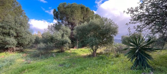 6 غرف نوم منزل في Alhaurin de la Torre, Spain رقم 64647 33