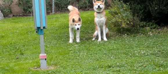 8-Zimmer Stadthaus in Kassel, Germany, Nr. 280376 4