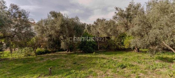 4 غرف نوم منزل في Granada, Spain رقم 166725 43