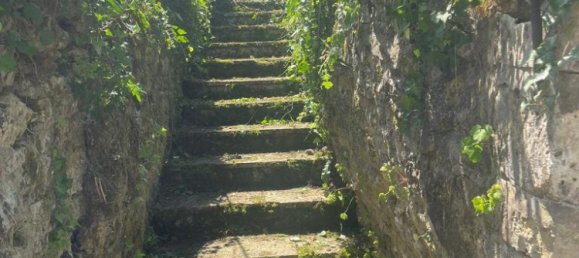 3 chambres Maison à Puiseux-en-Retz, France No. 93981 14