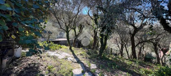 3 Schlafzimmer Wohnung in Lavagna, Italy, Nr. 211511 24