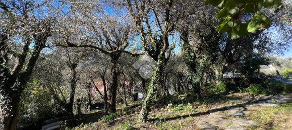 3 Schlafzimmer Wohnung in Lavagna, Italy, Nr. 211511 15