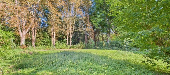 4 bedrooms Commercial property in Heinsberg, Germany No. 278318 32