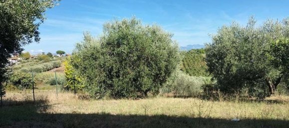 5 غرف نوم منزل في Genzano di Roma, Italy رقم 359822 22