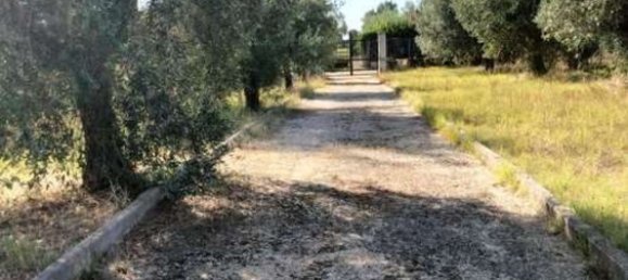 5 غرف نوم منزل في Genzano di Roma, Italy رقم 359822 2