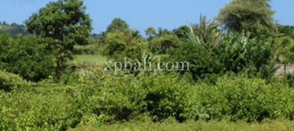 2000m² Land in South Kuta, Indonesia No. 4202 3