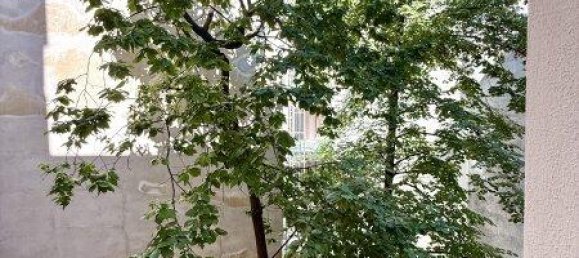 Studio in Alsergrund, Austria No. 258874 10