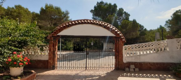 5 غرف نوم عقار تجاري في Oliva, Spain رقم 4344 19