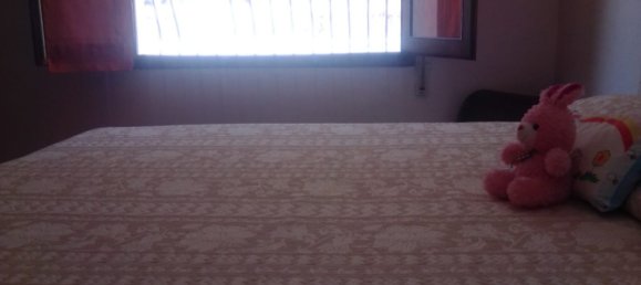 5 غرف نوم عقار تجاري في Oliva, Spain رقم 4344 12