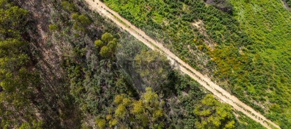 Grundstück in Aljezur, Portugal, Nr. 289114 7