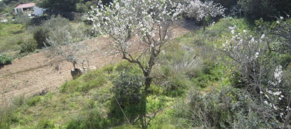 Вилла с 1 спальней в Кальпе, Испания № 1612 14