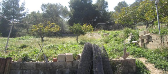 Вилла с 1 спальней в Кальпе, Испания № 1612 4