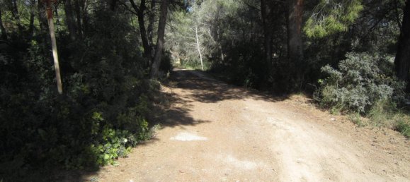 Вилла с 1 спальней в Кальпе, Испания № 1612 8