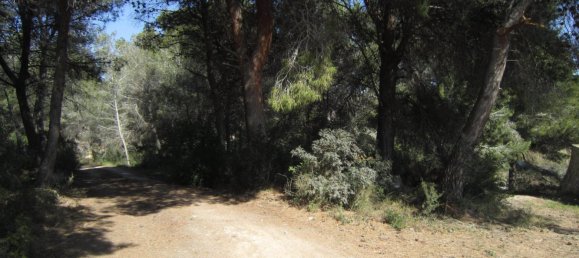 Вилла с 1 спальней в Кальпе, Испания № 1612 6