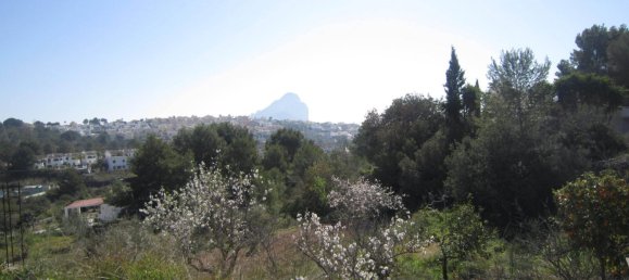 Вилла с 1 спальней в Кальпе, Испания № 1612 15