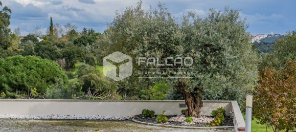 3 bedrooms House in Santarem, Portugal No. 93330 44