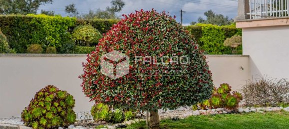 3 bedrooms House in Santarem, Portugal No. 93330 2