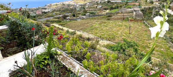 8 bedrooms Villa in Icod de los Vinos, Spain No. 150888 20