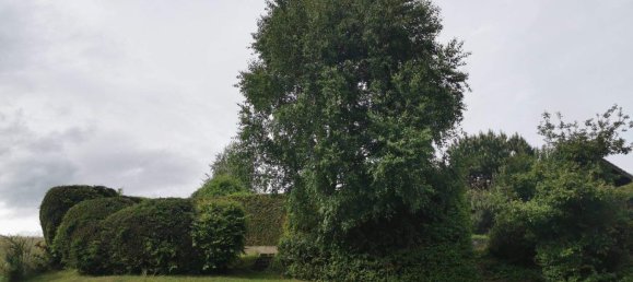 Terrain à Andritz, Austria No. 74456 8