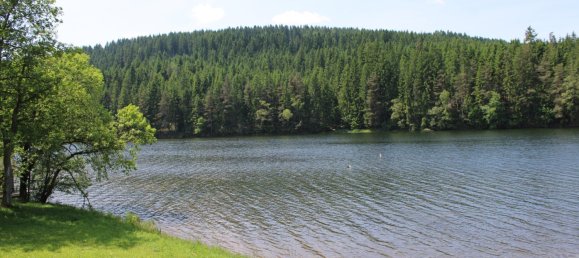 4-salle Maison à Edelschrott, Austria No. 131288 9