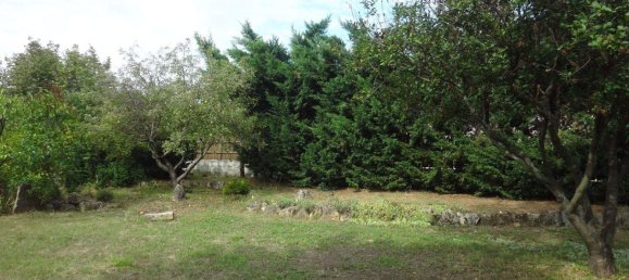  Land in Purbach am Neusiedler See, Austria No. 242995 3