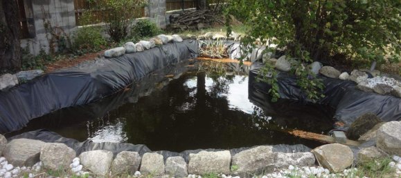  Land in Purbach am Neusiedler See, Austria No. 242995 6