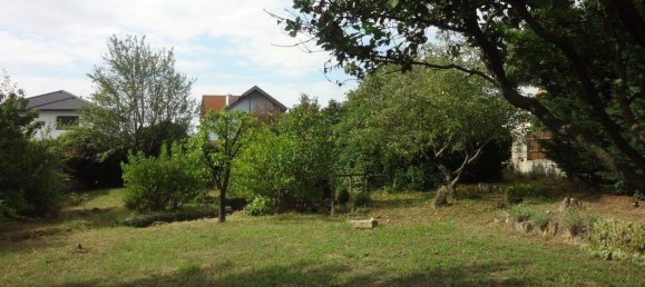  Land in Purbach am Neusiedler See, Austria No. 242995 2