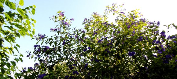 6 chambres Villa à Coin, Spain No. 32104 10