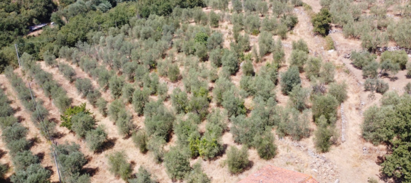 4 rooms House in Monte San Savino, Italy No. 210024 4