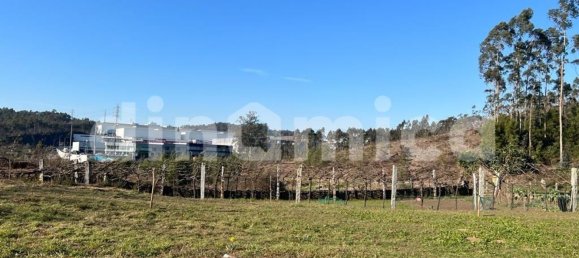 Terrain à Ribeirao, Portugal 760m² No. 28800 14