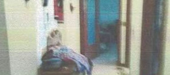 2-Zimmer Wohnung in Pioltello, Italy, Nr. 227345 21