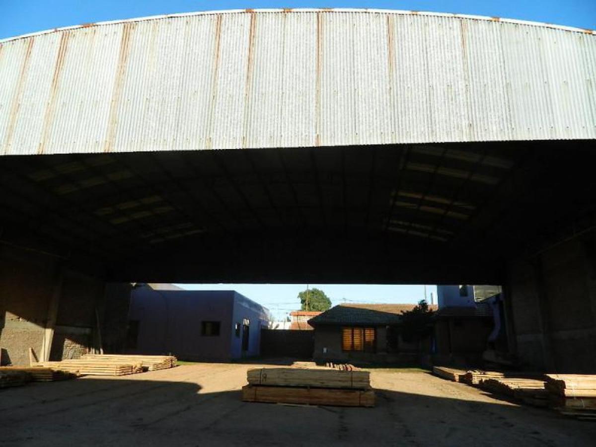 Propriété commerciale à Campo Creado, Argentina 2866m² No. 28813