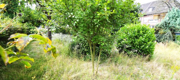 Дом с 4 спальнями в Боркен, Германия № 235931 21