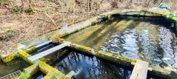 Terreno de 8 habitaciónes en Lambach, Austria No. 163907 18