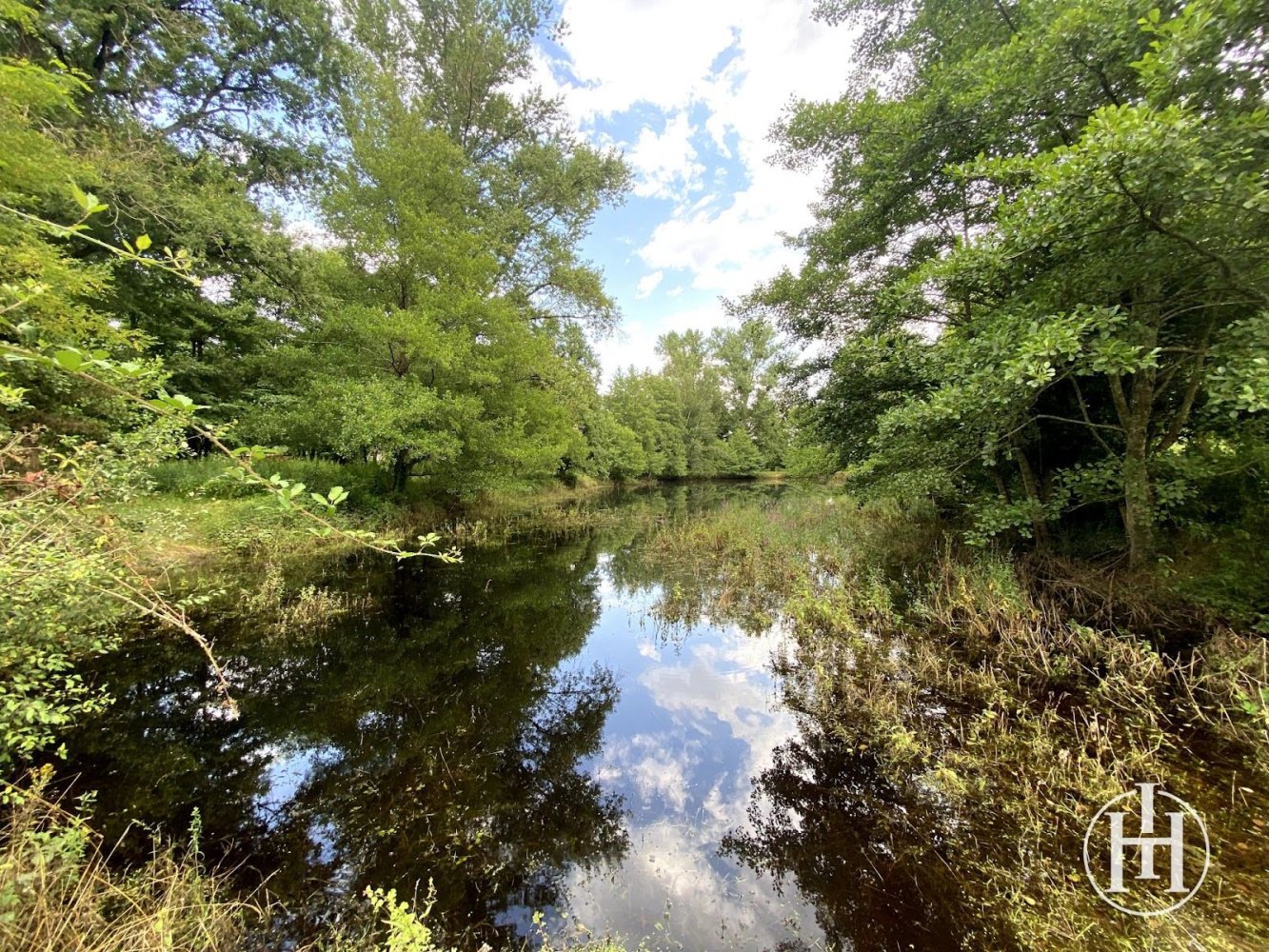 Дом с 10 спальнями в Сен-Жанврен, Франция № 262948