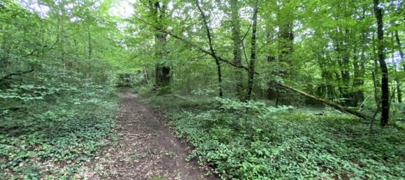 Дом с 10 спальнями в Сен-Жанврен, Франция № 262948 7