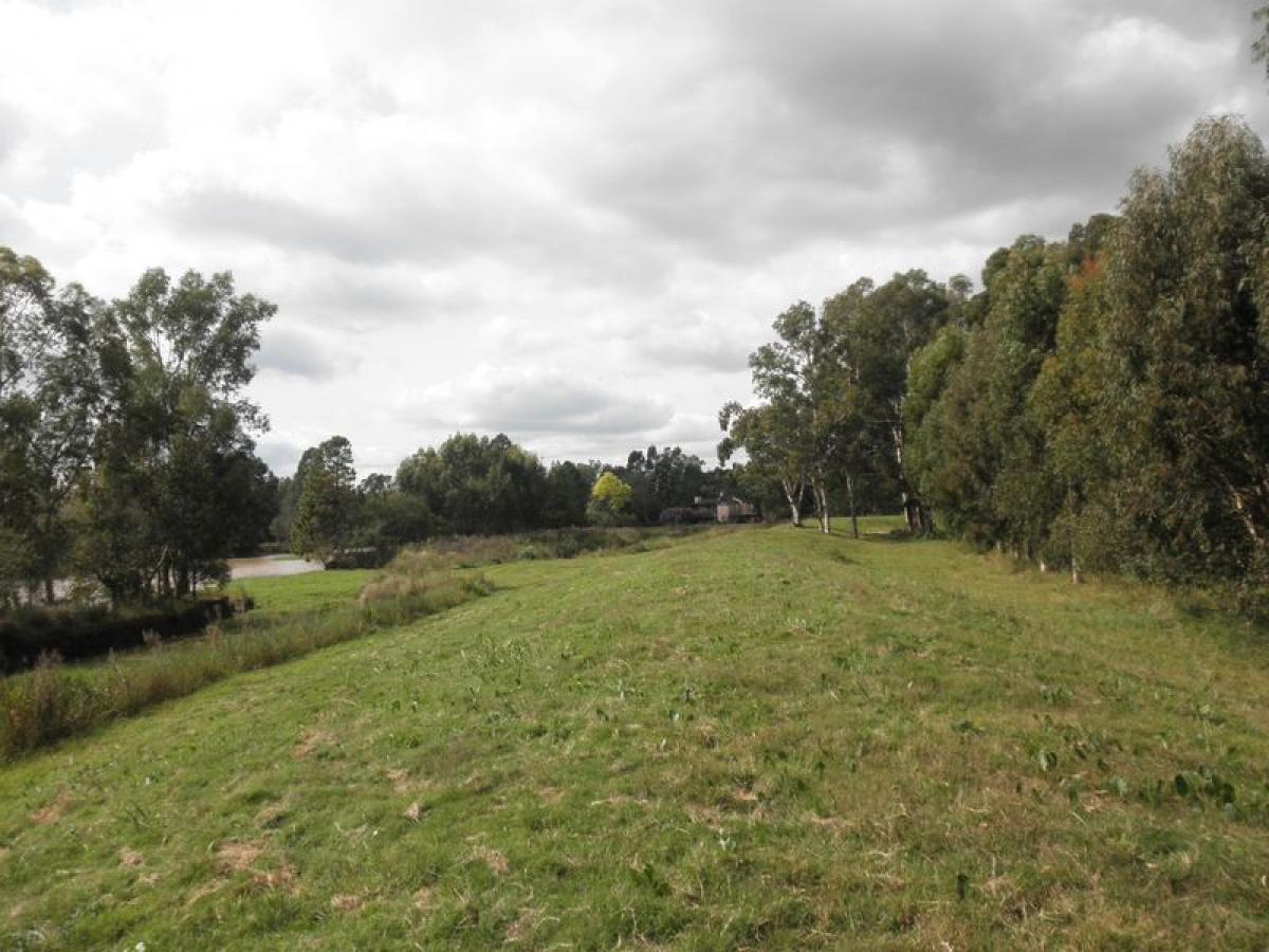 Granja en Entre Ríos, Argentina No. 41593