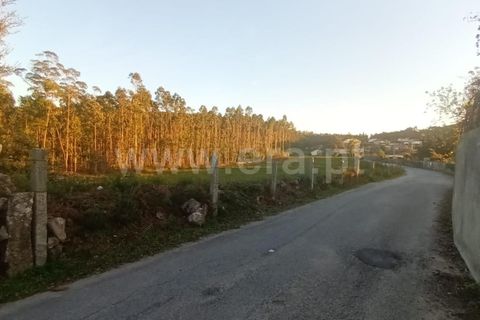  Land in Barcelos, Portugal No. 202272