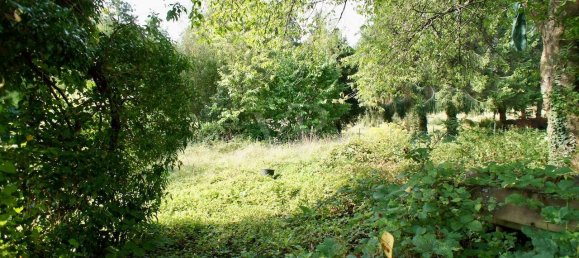 Casa de 4 dormitorios en Sudwestpfalz, Germany No. 289013 14