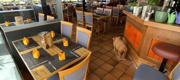 Cafe / Restaurant in Hof, Germany, Nr. 153897 8