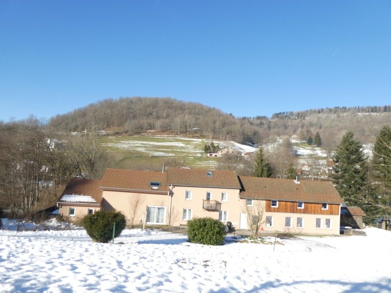 13 Schlafzimmer Haus in Fresse-sur-Moselle, France, Nr. 244040