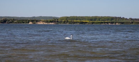 1 غرف نوم منزل في Vorpommern-Rugen, Germany رقم 177185 36