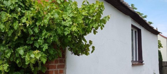 Casa de 1 dormitorio en Markisch-Oderland, Germany No. 334413 2