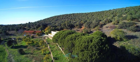 5 غرف نوم فيلا في Sao Bartolomeu de Messines, Portugal رقم 305261 3