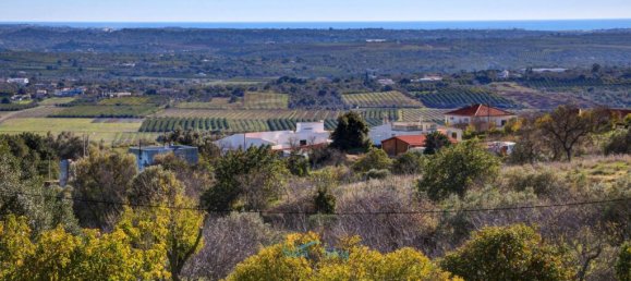 5 غرف نوم فيلا في Sao Bartolomeu de Messines, Portugal رقم 305261 2