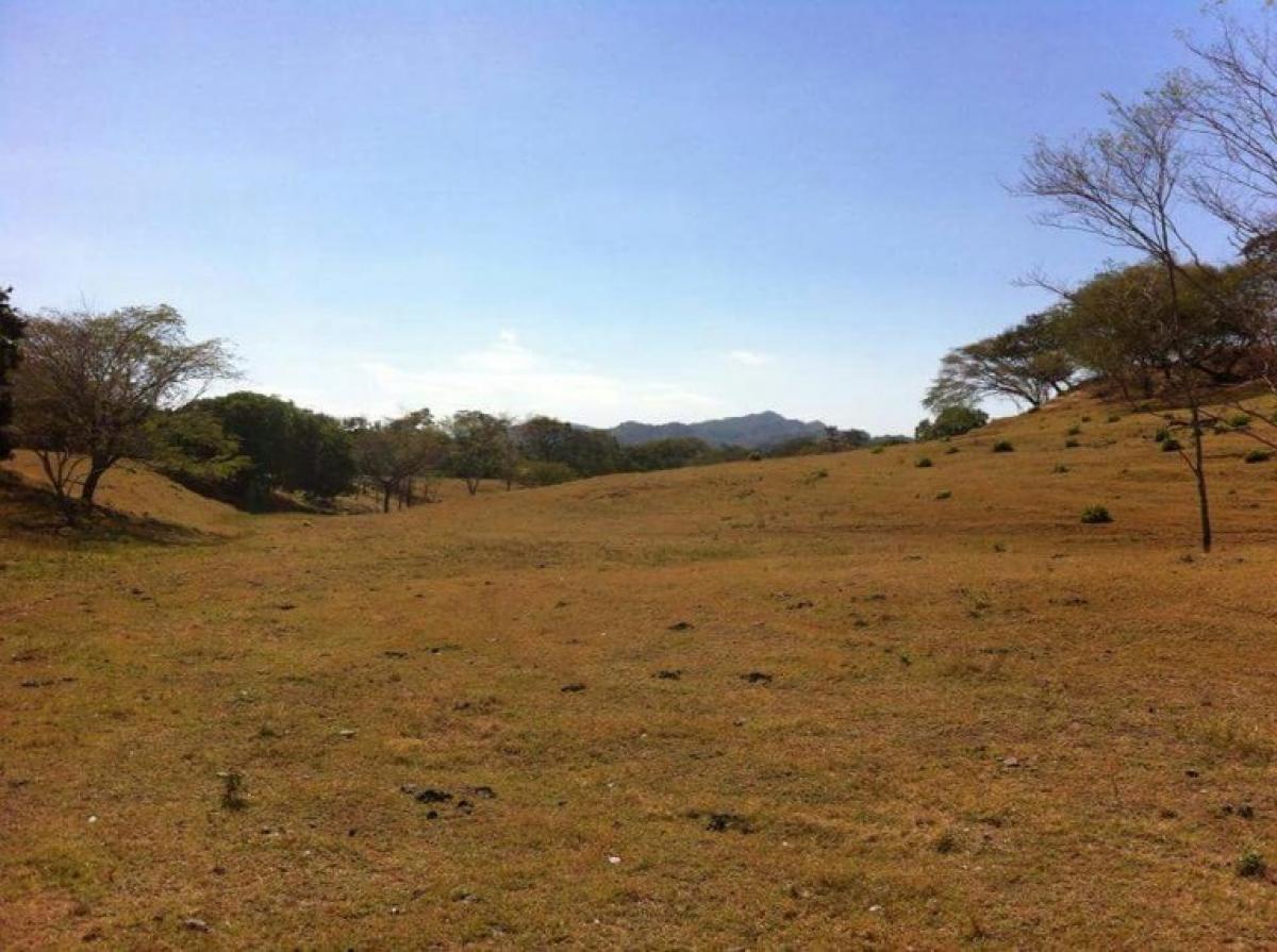 terrain à vendre à Santa Cruz, Guanacaste, Costa Rica № 1606