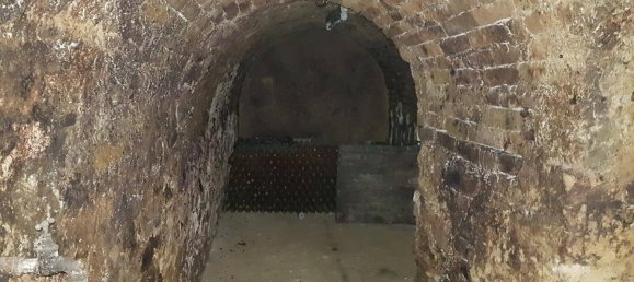 3 rooms Commercial property in Stratzing, Austria No. 138851 8